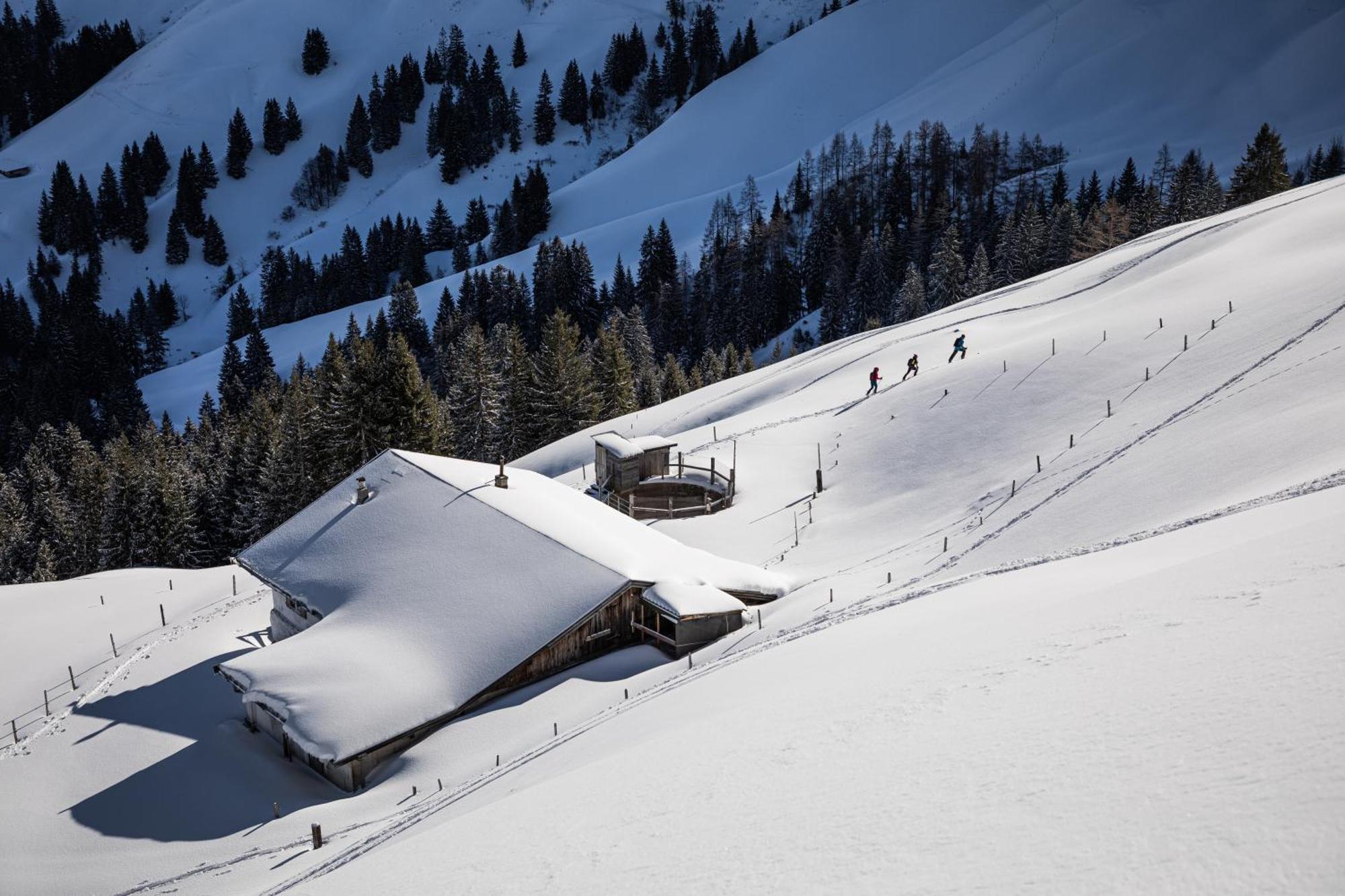 Kitzbuehel Suites By Alps Resorts Оберндорф  Экстерьер фото